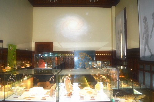 Sala Antropologie