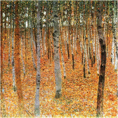 gustav-klimt-pădure-de-mesteceni-I-1902-pictura-sec-XX